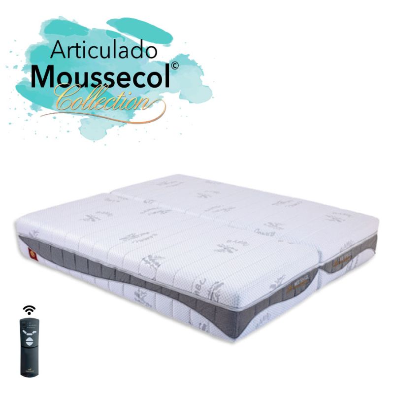 Colchão Articulado Moussecol