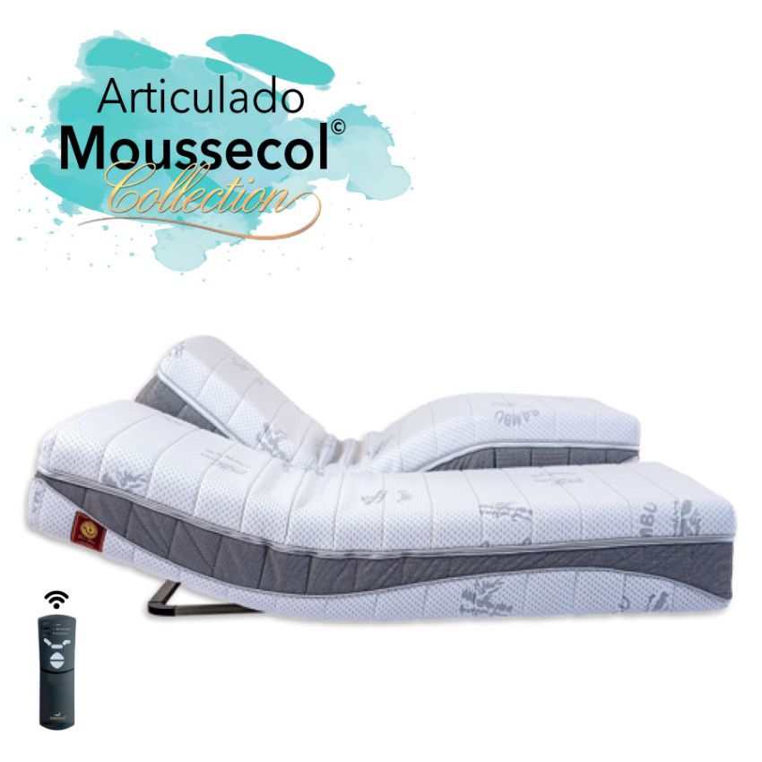 Colchão Articulado Moussecol